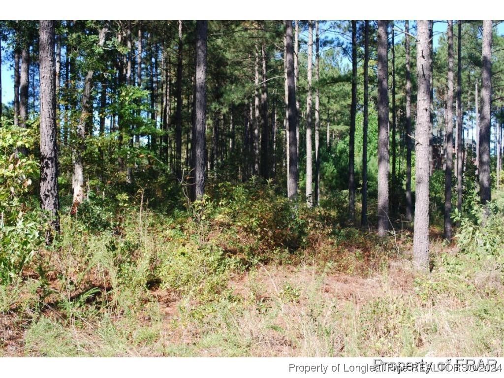 45 Broadlake (479) Lane, Spring Lake, NC 28390 — photo 3