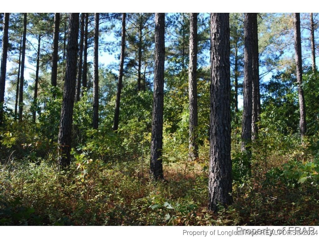 45 Broadlake (479) Lane, Spring Lake, NC 28390 — photo 4