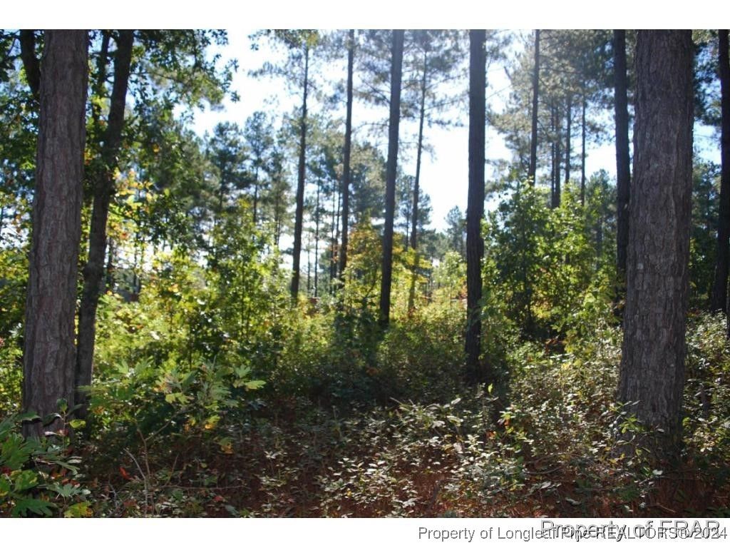 45 Broadlake (479) Lane, Spring Lake, NC 28390 — photo 5