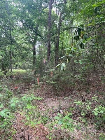 0 Conway Road, Livingston, TX 77351