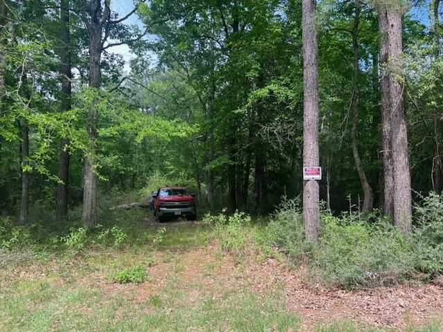 0 Conway Road, Livingston, TX 77351