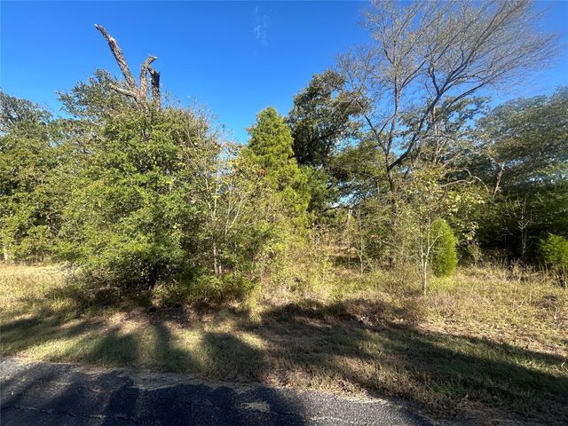 58 Point Lavista, Malakoff, TX 75148