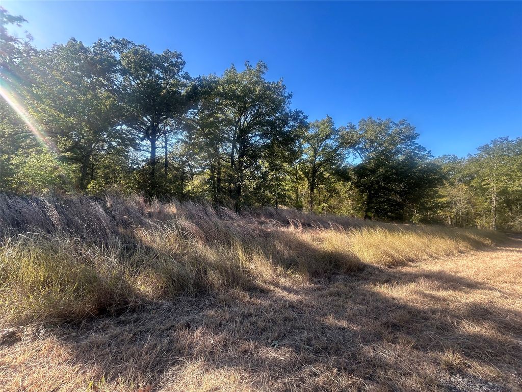 58 Point Lavista, Malakoff, TX 75148