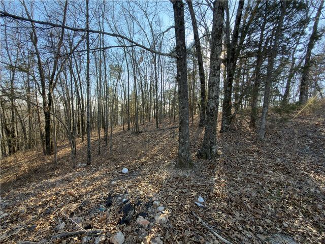 600 County Road 2200, Eureka Springs, AR 72631