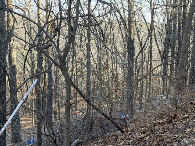 600 County Road 2200, Eureka Springs, AR 72631