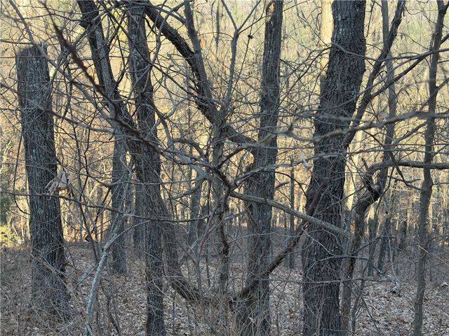 600 County Road 2200, Eureka Springs, AR 72631