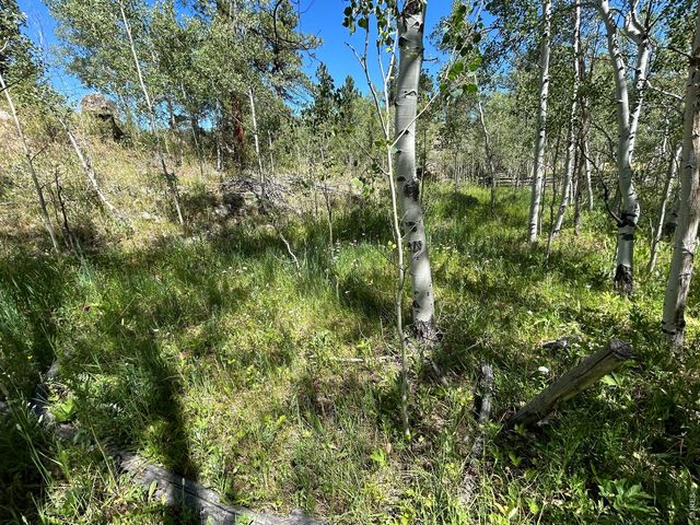 745 Nokomis Rd, Red Feather Lakes, CO 80545