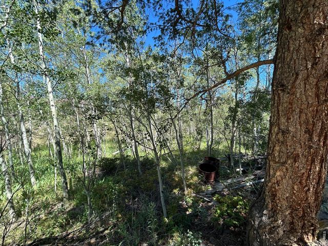 745 Nokomis Rd, Red Feather Lakes, CO 80545