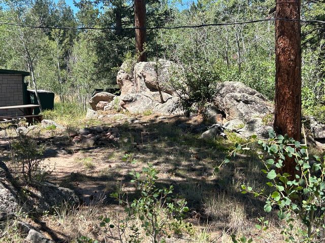 745 Nokomis Rd, Red Feather Lakes, CO 80545