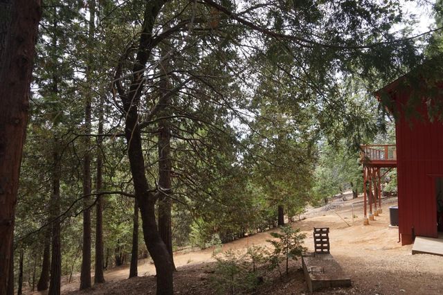 19314 Ponderosa Dr, Pioneer, CA 95666