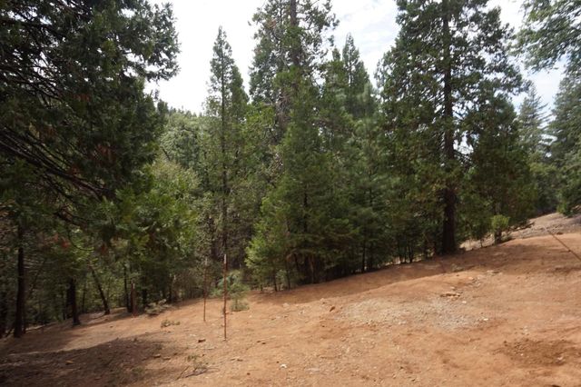 19314 Ponderosa Dr, Pioneer, CA 95666