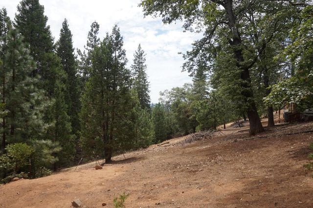 19314 Ponderosa Dr, Pioneer, CA 95666