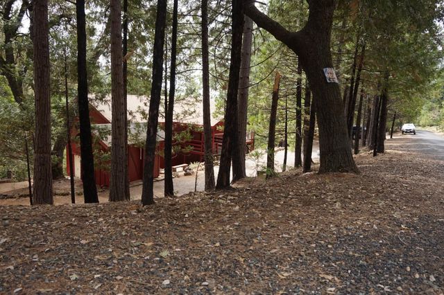 19314 Ponderosa Dr, Pioneer, CA 95666
