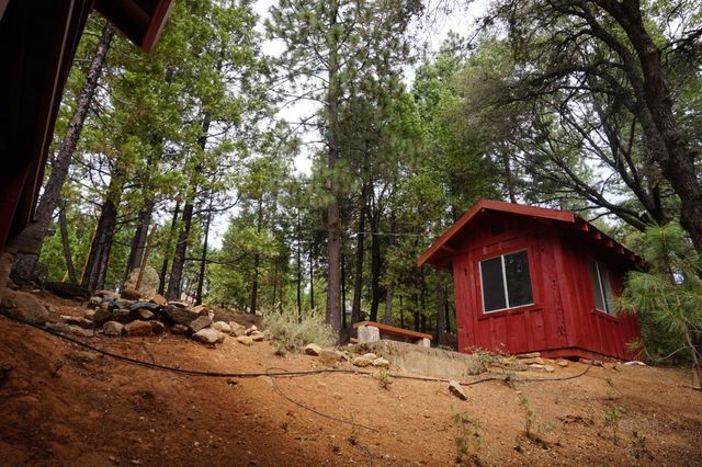 19314 Ponderosa Dr, Pioneer, CA 95666