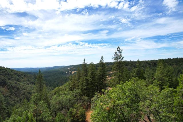 19314 Ponderosa Dr, Pioneer, CA 95666