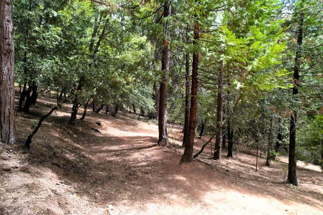 19314 Ponderosa Dr, Pioneer, CA 95666