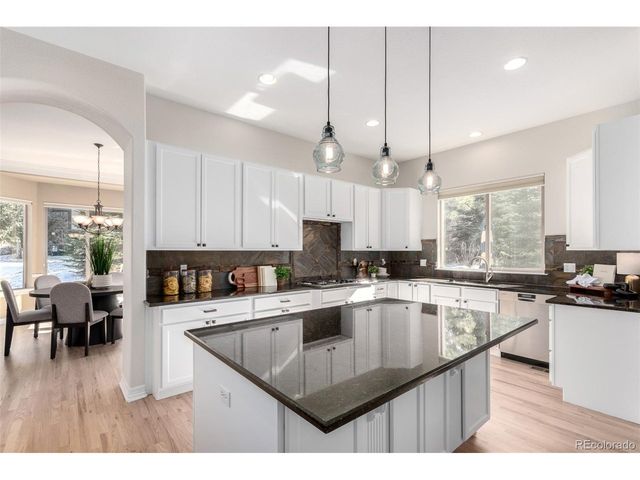 20166 E Shady Ridge Rd, Parker, CO 80134