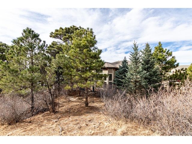 20166 E Shady Ridge Rd, Parker, CO 80134