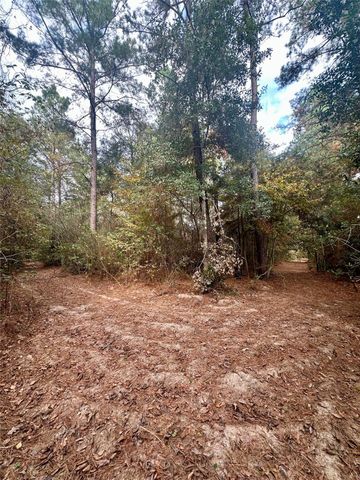 11140 Fm 1484 Road, Conroe, TX 77303