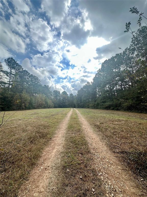 11140 Fm 1484 Road, Conroe, TX 77303