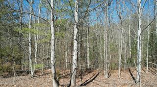 442 Hawken Drive, Walland, TN 37886