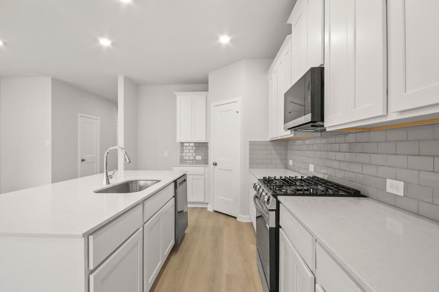 229 Elm Spring Drive, Hockley, TX 77447