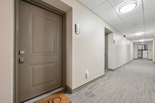 995 Massachusetts Ave 102 102, Arlington, MA 02476