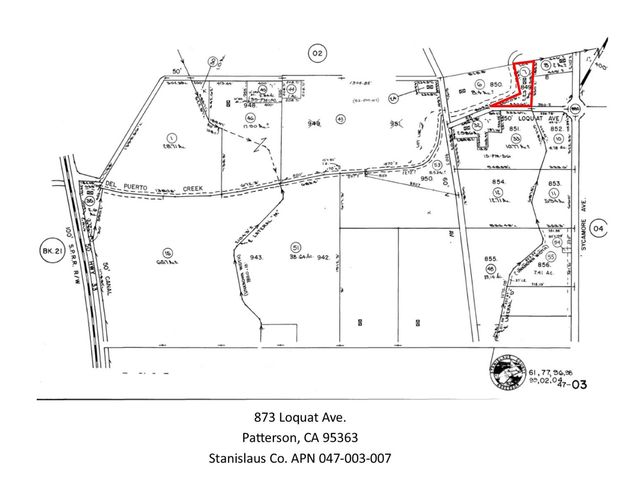 873 Loquat Ave, Patterson, CA 95363