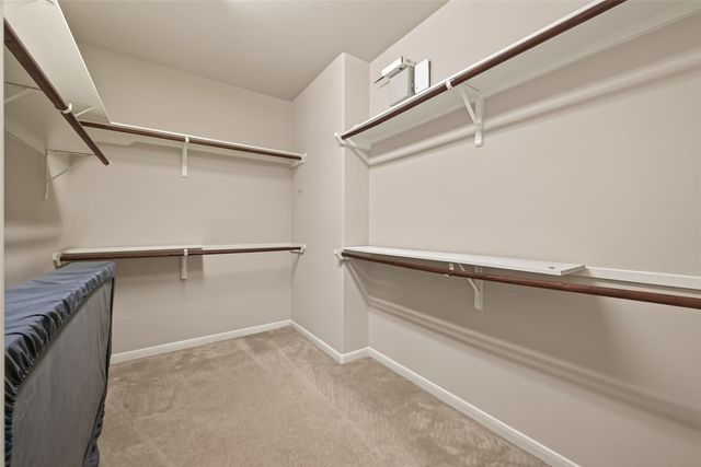 13719 Saxony Drive, Sugar Land, TX 77498