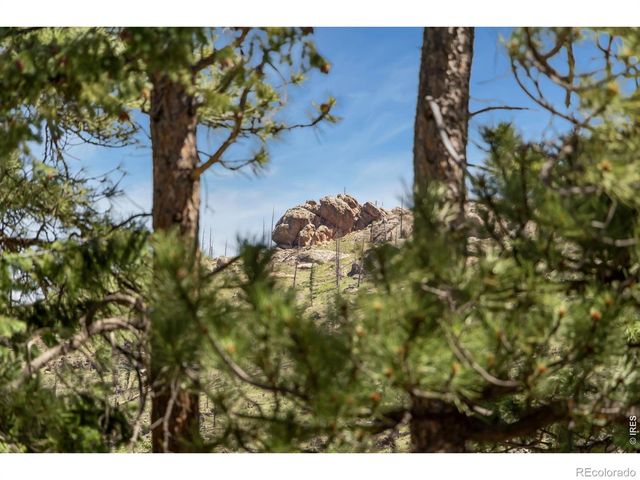 12592 Rist Canyon Road, Bellvue, CO 80512