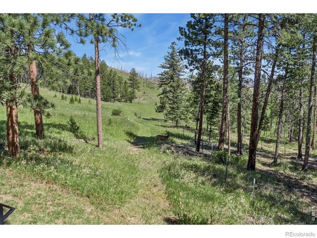 12592 Rist Canyon Road, Bellvue, CO 80512