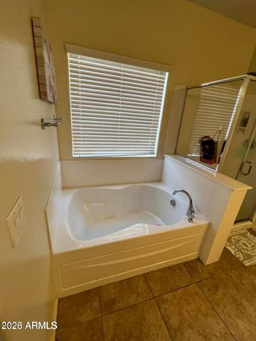 7610 W Millerton Way, Florence, AZ 85132