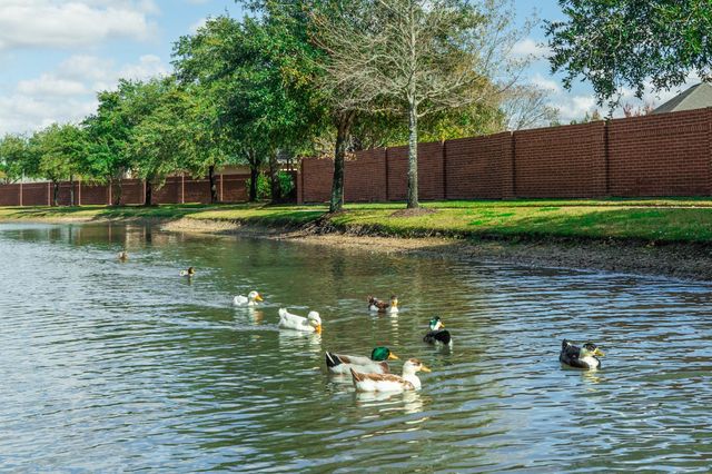 2814 Keagan Falls Drive, Manvel, TX 77578