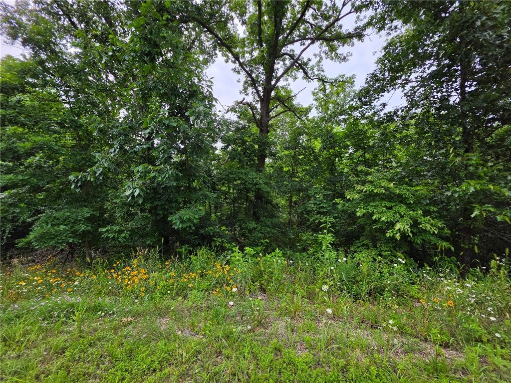 0 Rountree Drive, Bella Vista, AR 72715