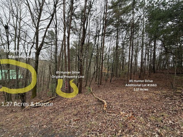 85 Hunter Drive, Talking Rock, GA 30175