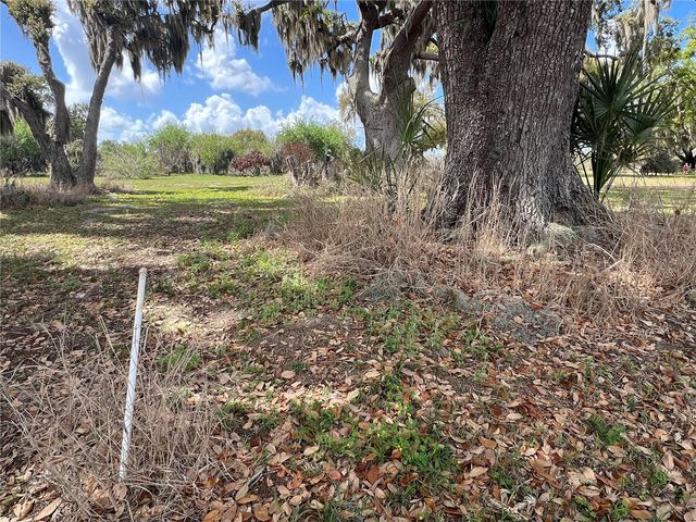 0 APIARY CIRCLE, Grand Island, FL 32735