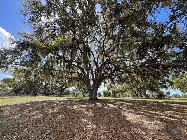 0 APIARY CIRCLE, Grand Island, FL 32735