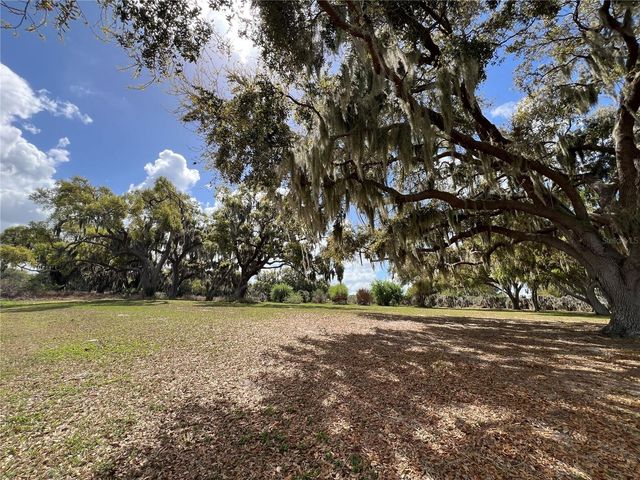 0 APIARY CIRCLE, Grand Island, FL 32735
