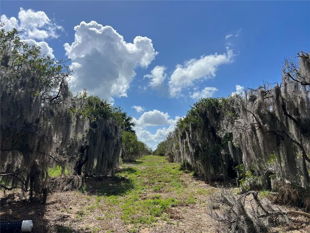 0 APIARY CIRCLE, Grand Island, FL 32735