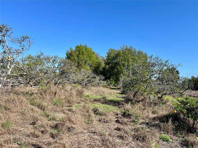 0 APIARY CIRCLE, Grand Island, FL 32735