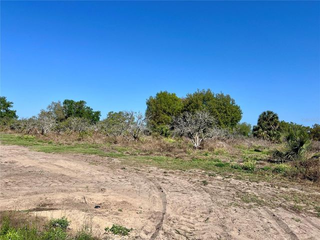 0 APIARY CIRCLE, Grand Island, FL 32735