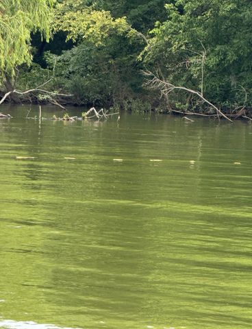 Lot 7 CR 3732, Wills Point, TX 75169