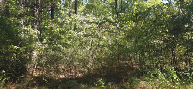 TBD Cove Dr, Point Blank, TX 77364