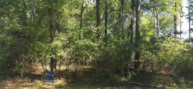 TBD Cove Dr, Point Blank, TX 77364