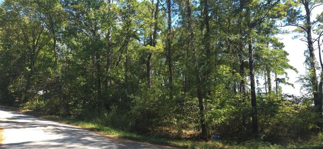 TBD Cove Dr, Point Blank, TX 77364