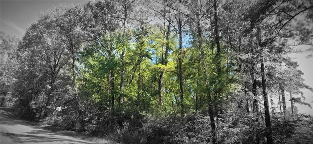 TBD Cove Dr, Point Blank, TX 77364