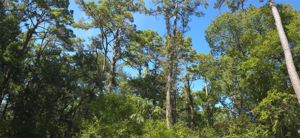 TBD Cove Dr, Point Blank, TX 77364