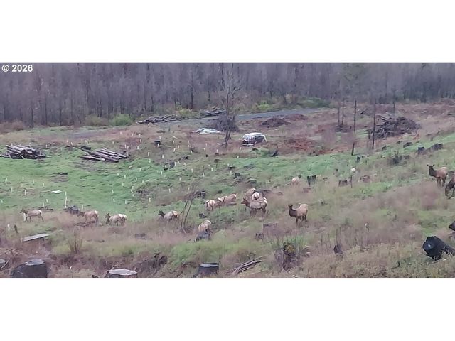 10855 KUBIN Rd Se, Lyons, OR 97358