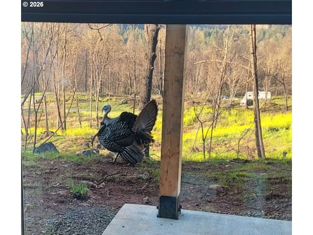 10855 KUBIN Rd Se, Lyons, OR 97358
