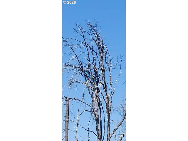 10855 KUBIN Rd Se, Lyons, OR 97358